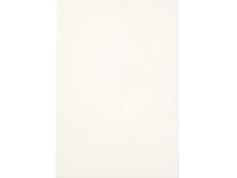 Плитка облицовочная белая глянец (WHO-M) 200*300мм (20/1,2/96) Terracotta