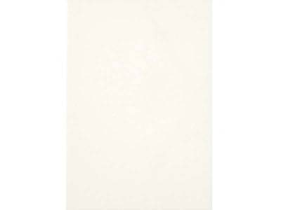 Плитка облицовочная белая глянец (WHO-M) 200*300мм (20/1,2/96) Terracotta, рис. 1